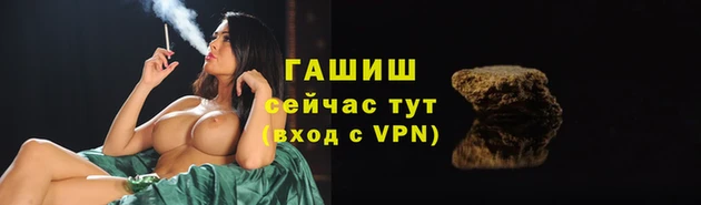 крисы Армянск