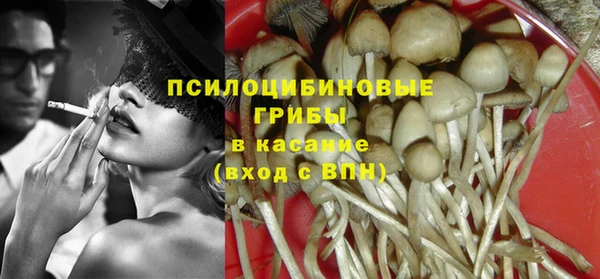 мет Арсеньев