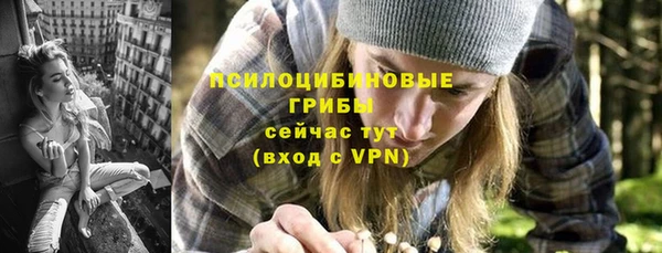 крисы Армянск