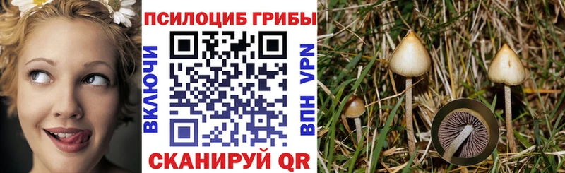 Галлюциногенные грибы мухоморы  MEGA маркетплейс  Бахчисарай  наркошоп 