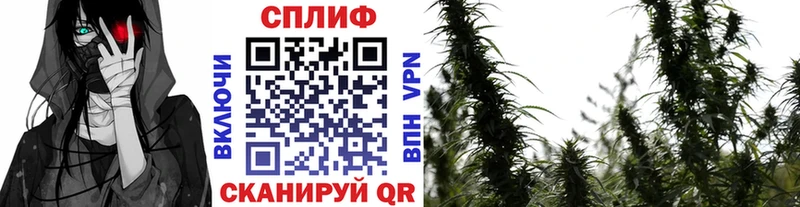 МАРИХУАНА индика Бахчисарай